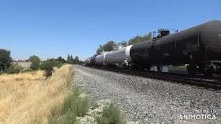 August Trains 2024