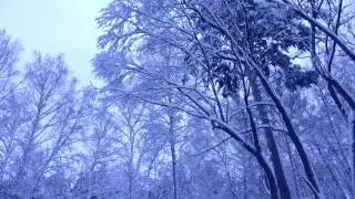 Футаж   Footage free   000133