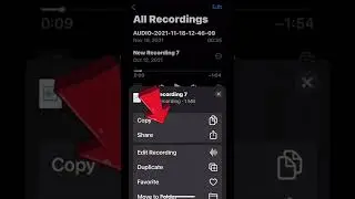 Find the time Stamps | Length of Recording | Voice Recorder App | iOS