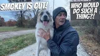 TRESPASSER CUT OUR FENCE!