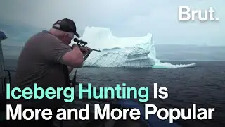 &ldquo;Iceberg Hunting&rdquo; Is More and More Popular