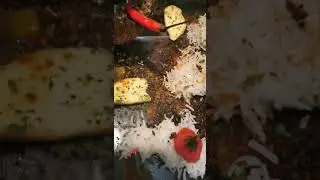 Riz lentille Accompagn&eacute; de Morue au Gingembre 🤫 et sauce 🍅 Oignons