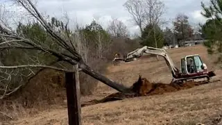 Taking down a hickory tree on the fence line for the cow pasture. #takeuchi #excavator 