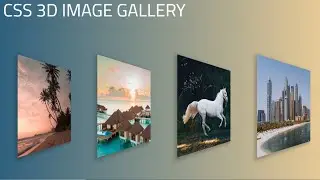 How To Create  3D Image Gallery Using HTML & CSS Only | CSS 3D Animation Effects