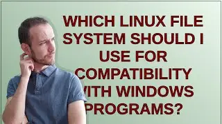 Unix: Which Linux file system should I use for compatibility with Windows programs?