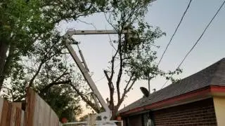 Limb removal in tight places