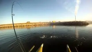 Flyfishing from a Anderson Pontoonboat