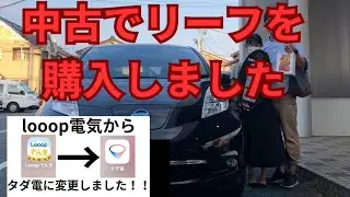 中古リーフを購入しました