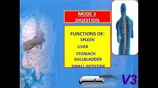 MODE  3: ( Promotes Digestion / Stability ) How To Use Ceragem Master V3 12 Modes