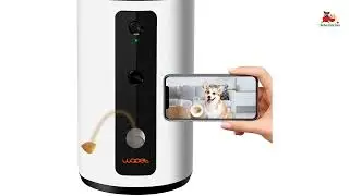 Wopet Dog Camera with Treat Tossing Buying Guide