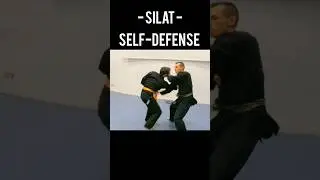 Martial arts technique - silat - Self defense #technique #martialart #silat
