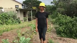 Steph shares processing beetroot from the garden