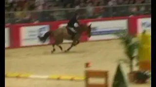 &hearts; Inedite de Balme- jumping horse  by Palestro II
