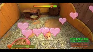Pet world. Приют для животных. часть 1. Хомячки.