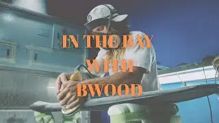 In the Bay Part 2 with local shaper, BWOOD