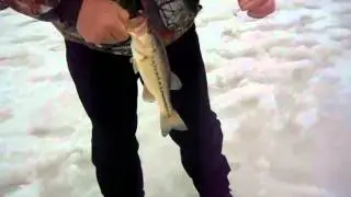 Brandon Crusan Outdoors 