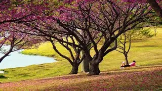 Stop Overthinking - Slow Down An Overactive Mind - Calm Down And Relax @Relax Mind