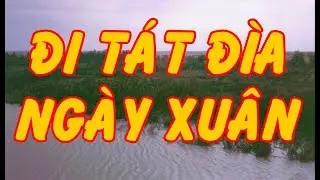 Hồi Ký Miền Nam | Đi Tát Đìa Ngày Xuân (Tân Ngố)