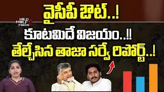 C- Voter Survey Report On AP Elections 2024 | YSRCP Vs TDP Janasena BJP | Social Trend | Wild wolf