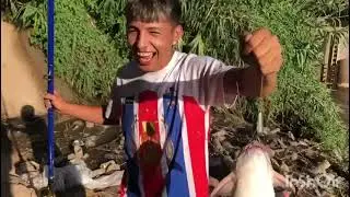 Pesca  y cocinamos pescado frito🎣
