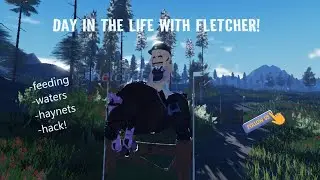 Day in the life with fletcher! *feed, water ,turnout and a hack!*