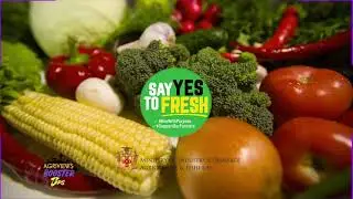 NIC Booster Tips Part 1   Agriviews