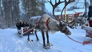 Our Rovaniemi Adventure 