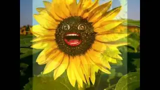 A Slow Chinese Instrumental Music.