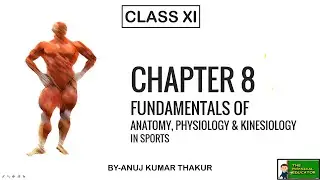 Chapter 8 I Fundamentals of Anatomy, Physiology & Kinesiology in Sports I Class 11th  2020-2021