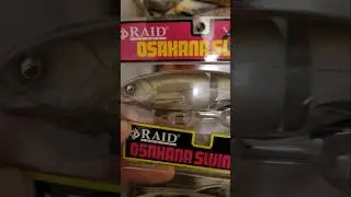 Osakana slide and swimmer, can't wait to fire these out in the ponds! #bassfishing #raid #shorts