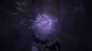 Meteor Shower 25 shot 200g by Planet X Fireworks