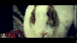 Justlo w&uuml;nscht frohe Ostern!