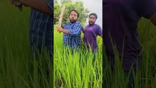 Wait for end 😂😂 #comedy #tipucomedy #jsfilmhouse #entertainment