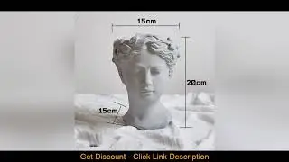 Review Statue Greek Goddess Flower Pots Head Retro Venus Vase Home Decoration Accessories Ornament