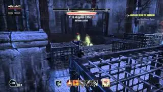 The Elder Scrolls Online: Take Flight