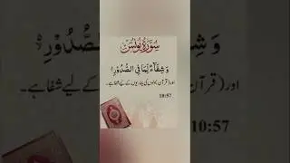 Islamic quotes shorts #shorts