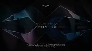Ain't Letting You Down vs. Burn Out (MARTIN GARRIX MASHUP)