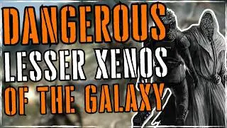 Eldritch XENOS Species Everyone Should Know | WARHAMMER 40K LORE