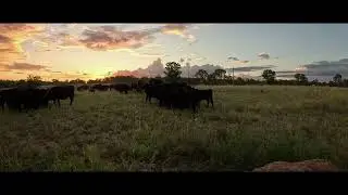 Lowline Sunset
