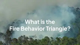 What is the Fire Behavior Triangle?