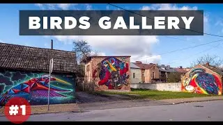 AEROMAT - BIRDS GALLERY - ZKIW (vol. 1)