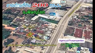 ขายที่ดิน 200 ตารางวา ในตัวเมืองพิษณุโลก ติดถนน 2 ด้าน ใกล้โฮมโปร และ โลตัส (แบ่งขายได้)