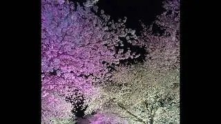 BoofPaxkMooky - Better With You (slowed & reverb)