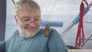 Nouveau coéquipier pour la traversée, Panama | voilier Silkap