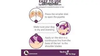 Vectra 3D Review: Is It the Ultimate Flea, Tick & Mosquito Solution for Small Dogs?