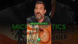 Microplastics in Your Blood, Brain & Baby?! 🧬🚫