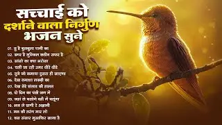 सच्चाई को दर्शाने वाला निर्गुण भजन - Chetawani Bhajan - Satsangi nirgun Bhajan 2026