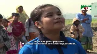 Returning to Roots Junior (American Standard International School) Harvest episode