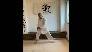 Taiji Chen. L'energia a spirale. Chan Si Jin.  Video completo al link.  M&deg; Enrico Randi