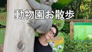 【Vlog】友達と動物園お散歩🦁東山動物園の旅🐨